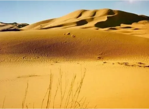 湖北w88优德绿色能源有限公司