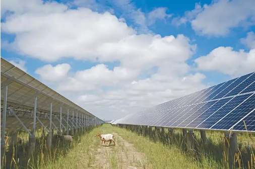 湖北w88优德绿色能源有限公司